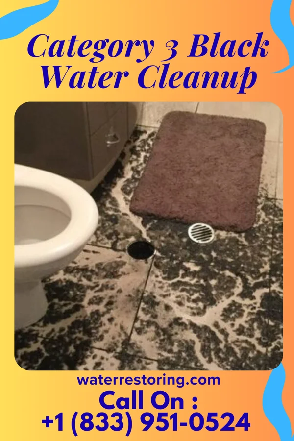 Category 3 Black Water Cleanup in Mill Village, PA
