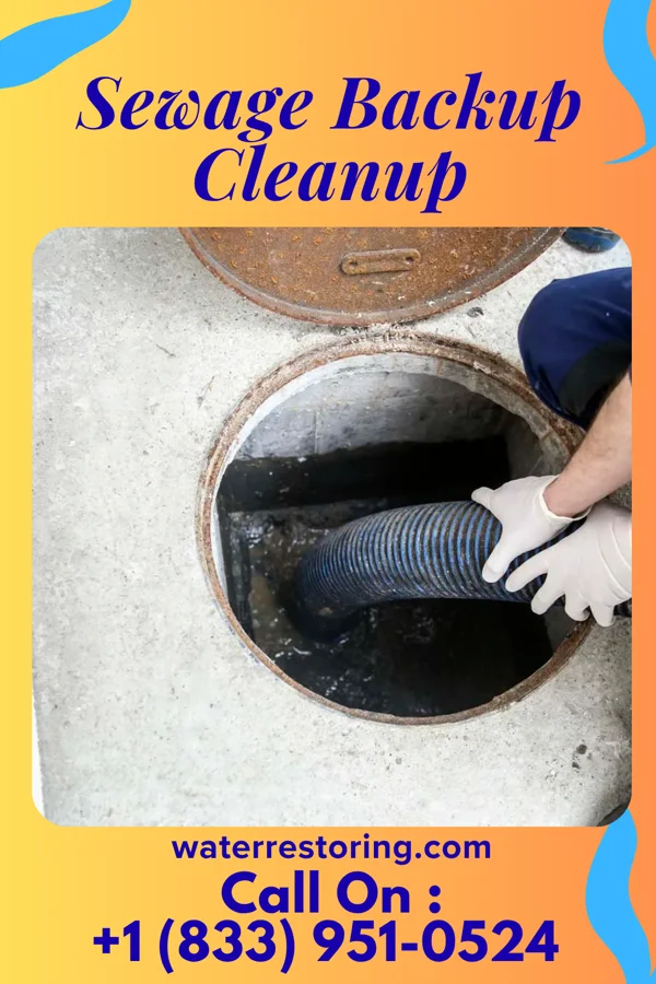 Sewage Backup Cleanup in Mill Village, PA
