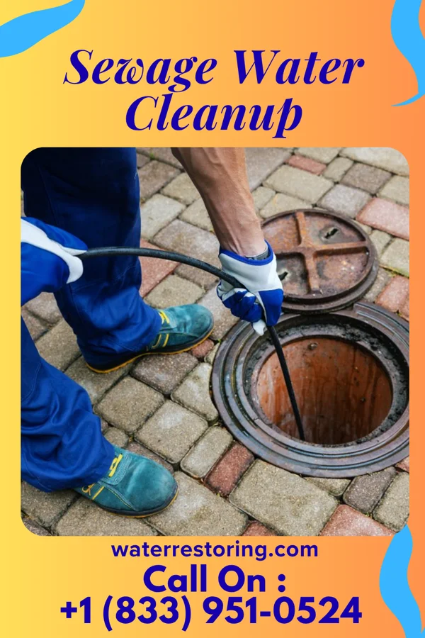 Sewage Water Cleanup in Mill Village, PA